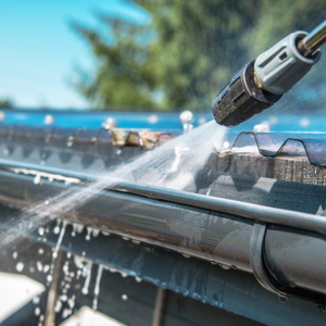 Gutter Cleaning & Downspout Flushing