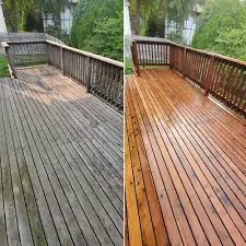 Deck & Fence Cleaning